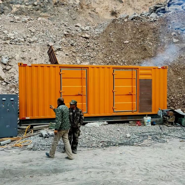 湾岭镇如何选择适合自己的 800KW 柴油发电机组？